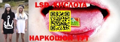 крисы Моздок