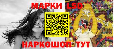 крисы Моздок