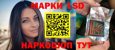 крисы Моздок