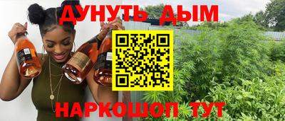крисы Моздок