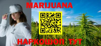 крисы Моздок