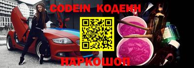 крисы Моздок