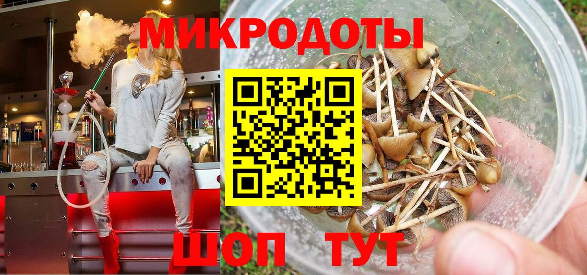 Псилоцибиновые грибы MAGIC MUSHROOMS  Вход с VPN  Химки 