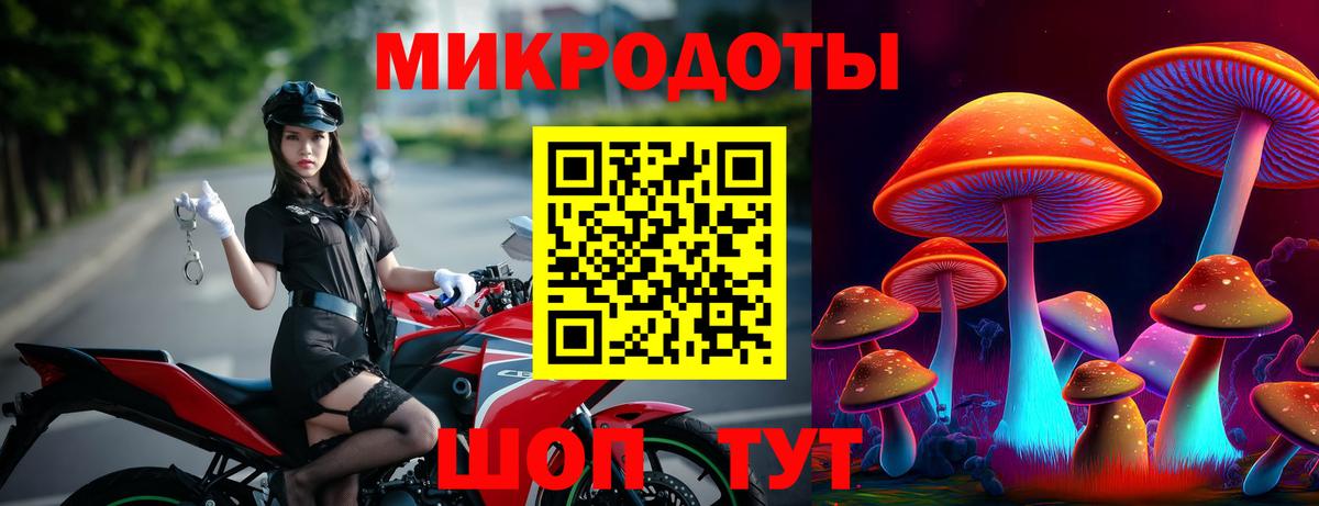 Псилоцибиновые грибы Psilocybe Химки